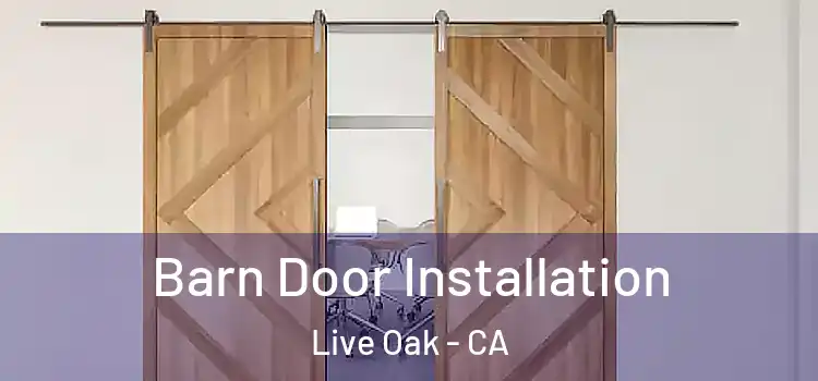  Barn Door Installation Live Oak - CA