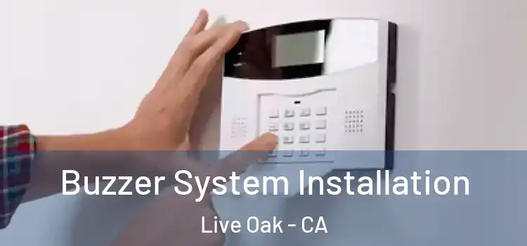 Buzzer System Installation Live Oak - CA