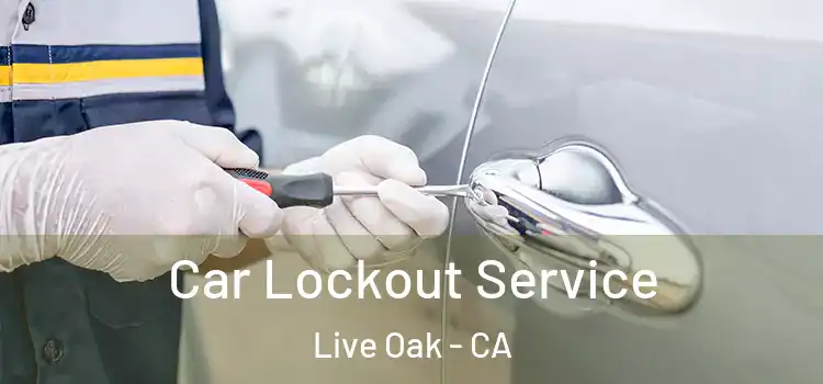 Car Lockout Service Live Oak - CA