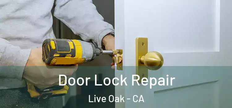 Door Lock Repair Live Oak - CA