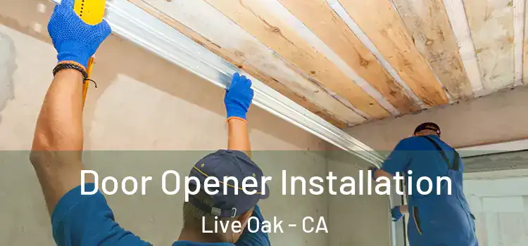  Door Opener Installation Live Oak - CA