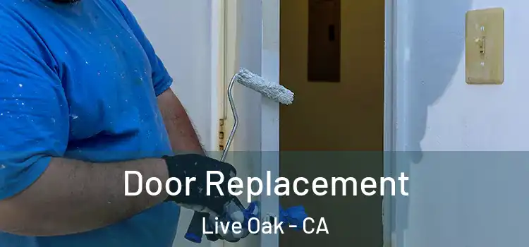 Door Replacement Live Oak - CA