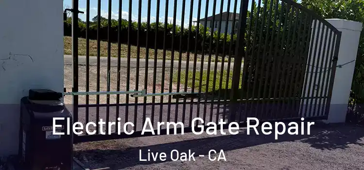 Electric Arm Gate Repair Live Oak - CA
