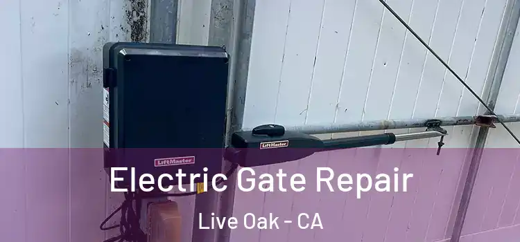 Electric Gate Repair Live Oak - CA