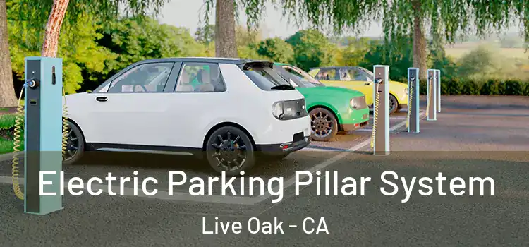 Electric Parking Pillar System Live Oak - CA