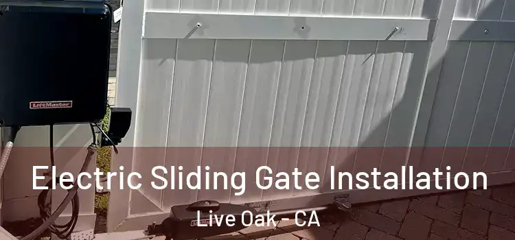 Electric Sliding Gate Installation Live Oak - CA
