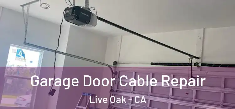  Garage Door Cable Repair Live Oak - CA