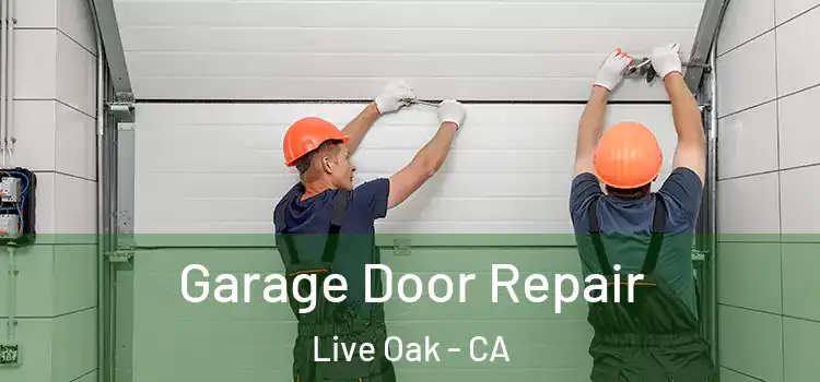  Garage Door Repair Live Oak - CA