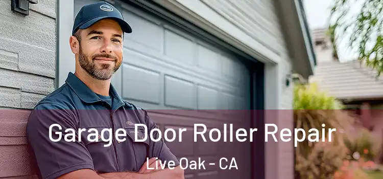  Garage Door Roller Repair Live Oak - CA