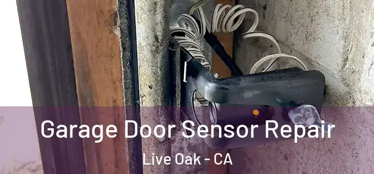 Garage Door Sensor Repair Live Oak - CA