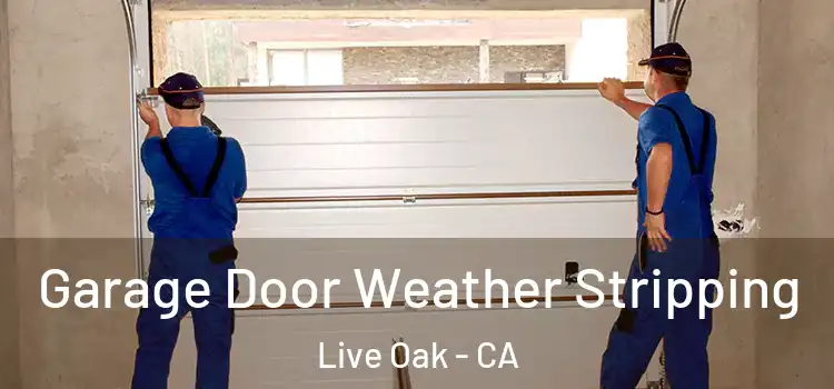  Garage Door Weather Stripping Live Oak - CA