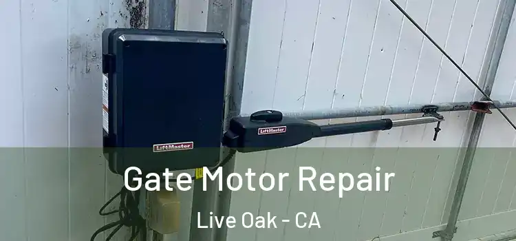 Gate Motor Repair Live Oak - CA