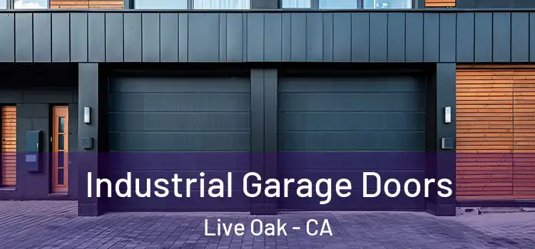  Industrial Garage Doors Live Oak - CA