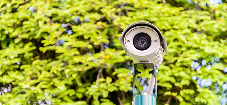 Advanced Surveillance Solutions for Every Need in Live Oak