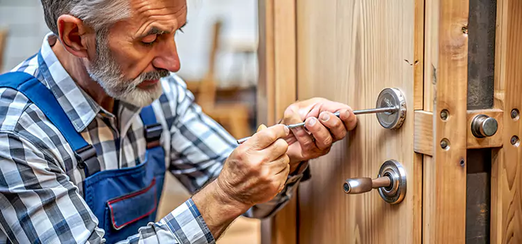 Mortise Replacement Lock Live Oak