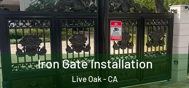 Iron Gate Installation Live Oak - CA