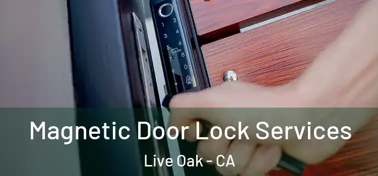  Magnetic Door Lock Services Live Oak - CA