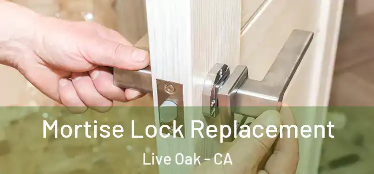 Mortise Lock Replacement Live Oak - CA