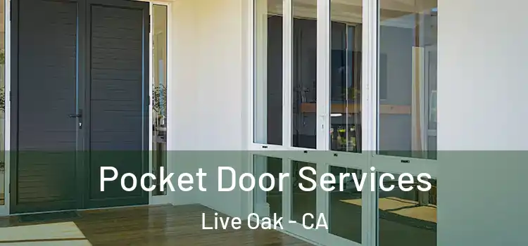 Pocket Door Services Live Oak - CA