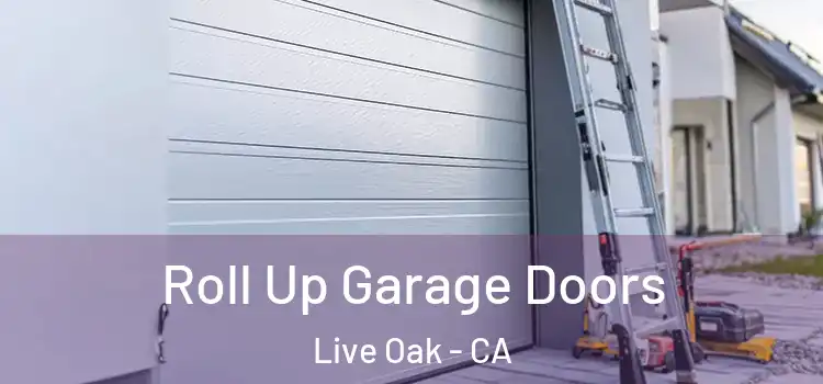  Roll Up Garage Doors Live Oak - CA