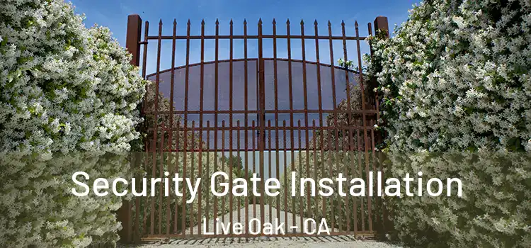 Security Gate Installation Live Oak - CA