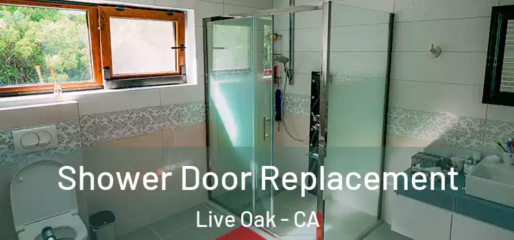 Shower Door Replacement Live Oak - CA