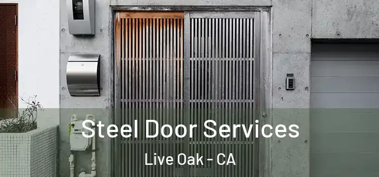 Steel Door Services Live Oak - CA