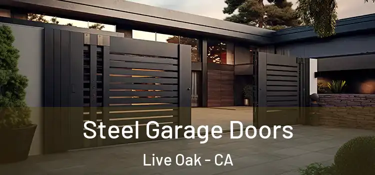 Steel Garage Doors Live Oak - CA