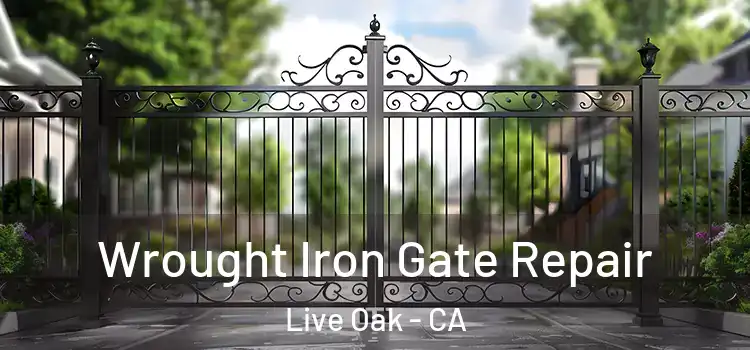 Wrought Iron Gate Repair Live Oak - CA